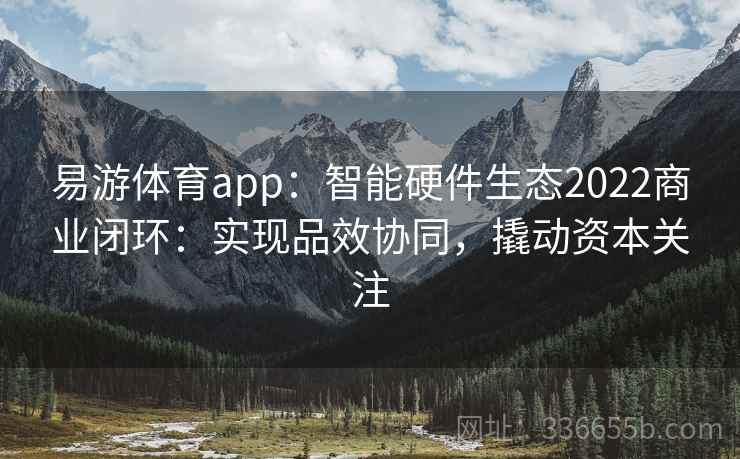 易游体育app：智能硬件生态2022商业闭环：实现品效协同，撬动资本关注
