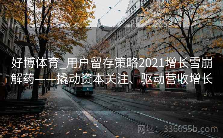 好博体育_用户留存策略2021增长雪崩解药——撬动资本关注、驱动营收增长