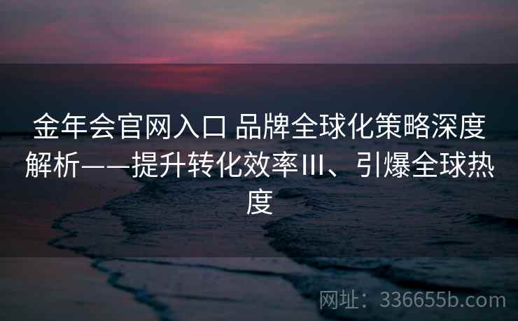 金年会官网入口 品牌全球化策略深度解析——提升转化效率Ⅲ、引爆全球热度