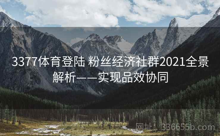 3377体育登陆 粉丝经济社群2021全景解析——实现品效协同